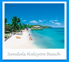 Sandals Halcyon Beach